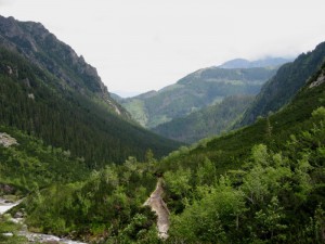 Dolina polodowcowa w Tatrach